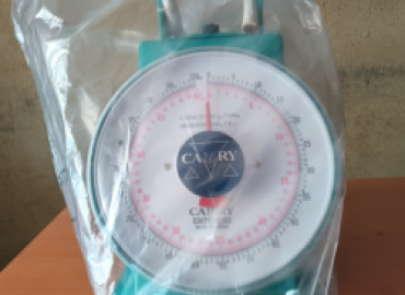 Camry Weighing Scale