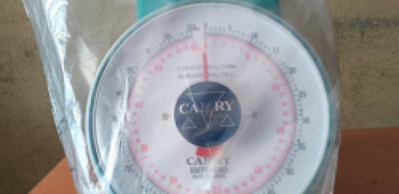 Camry Weighing Scale